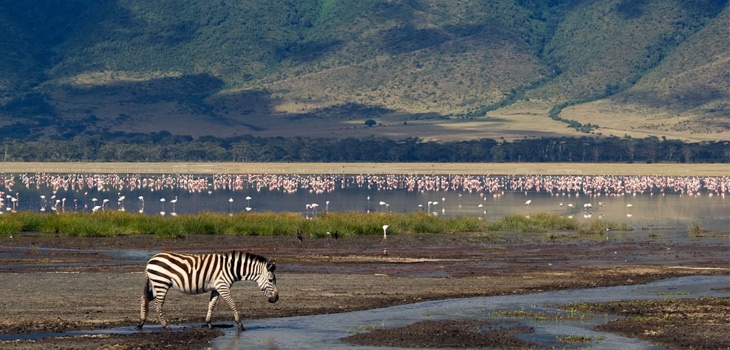 منطقه حفاظت شده نگورونگورو، تانزانیا