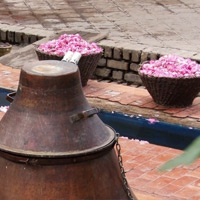 جاهای دیدنی قمصر کاشان