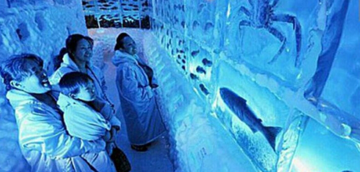 آکواریوم یخی در کسنوما در ژاپن