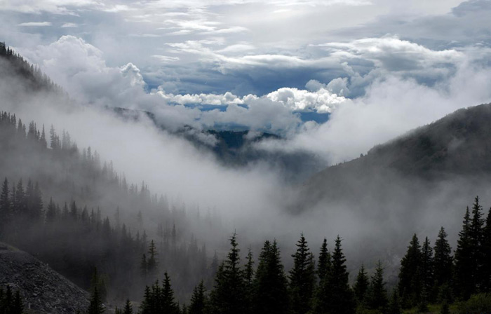 جنگل ابر (راهنمای کامل سفر + راه های دسترسی)