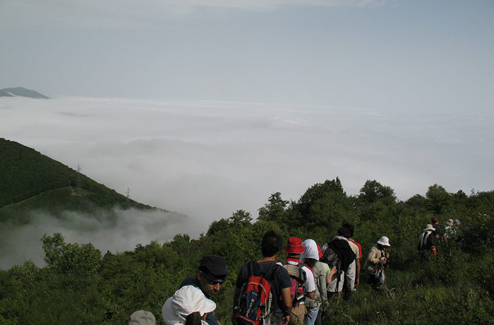 جنگل ابر (راهنمای کامل سفر + راه های دسترسی)
