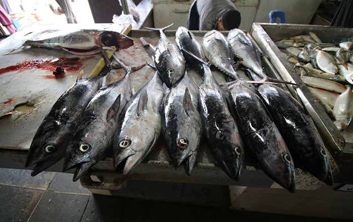 دیدنی‌های بوشهر - بازار ماهی فروشان 