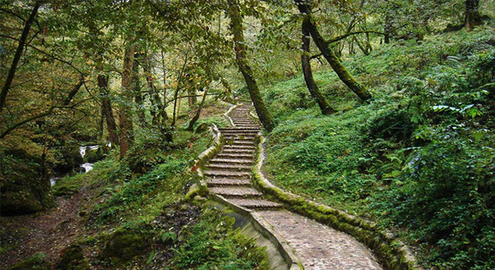 بهترین پارک های جنگلی استان گیلان