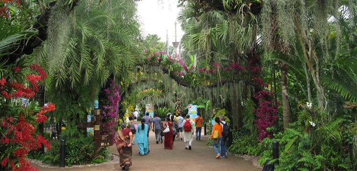 باغ پرندگان سنگاپور،بزرگترین پارک پرندگان دنیا
