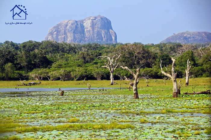 مهمترین جاذبه های دیدنی در سریلانکا - پارک ملی یالا