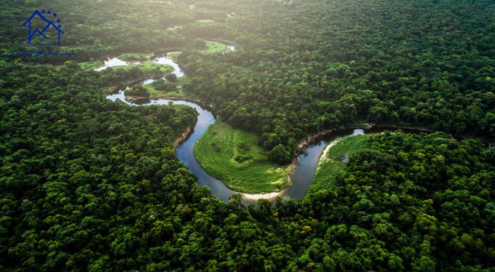 مهمترین دیدنی های برزیل - رودخانه آمازون